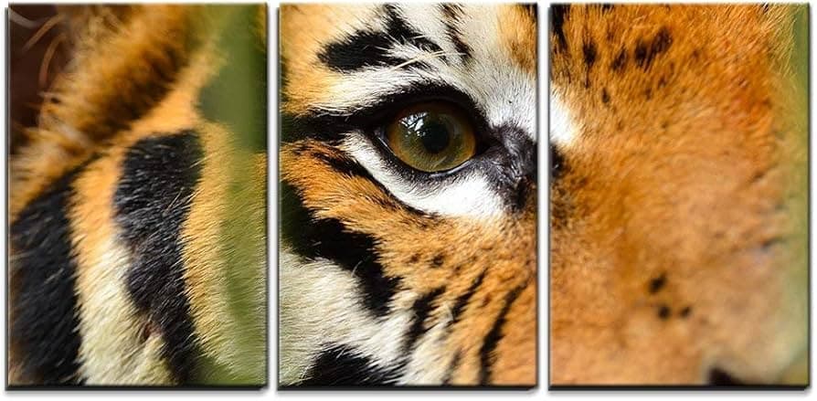 high resolution wall art print detail close up framed